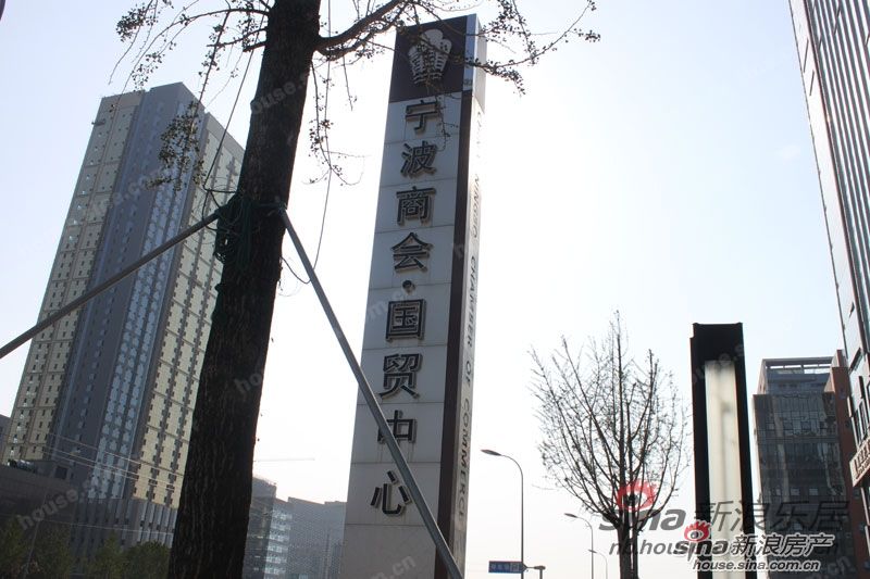 TG反波胆